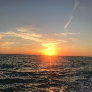 Meet your Posher, Krista